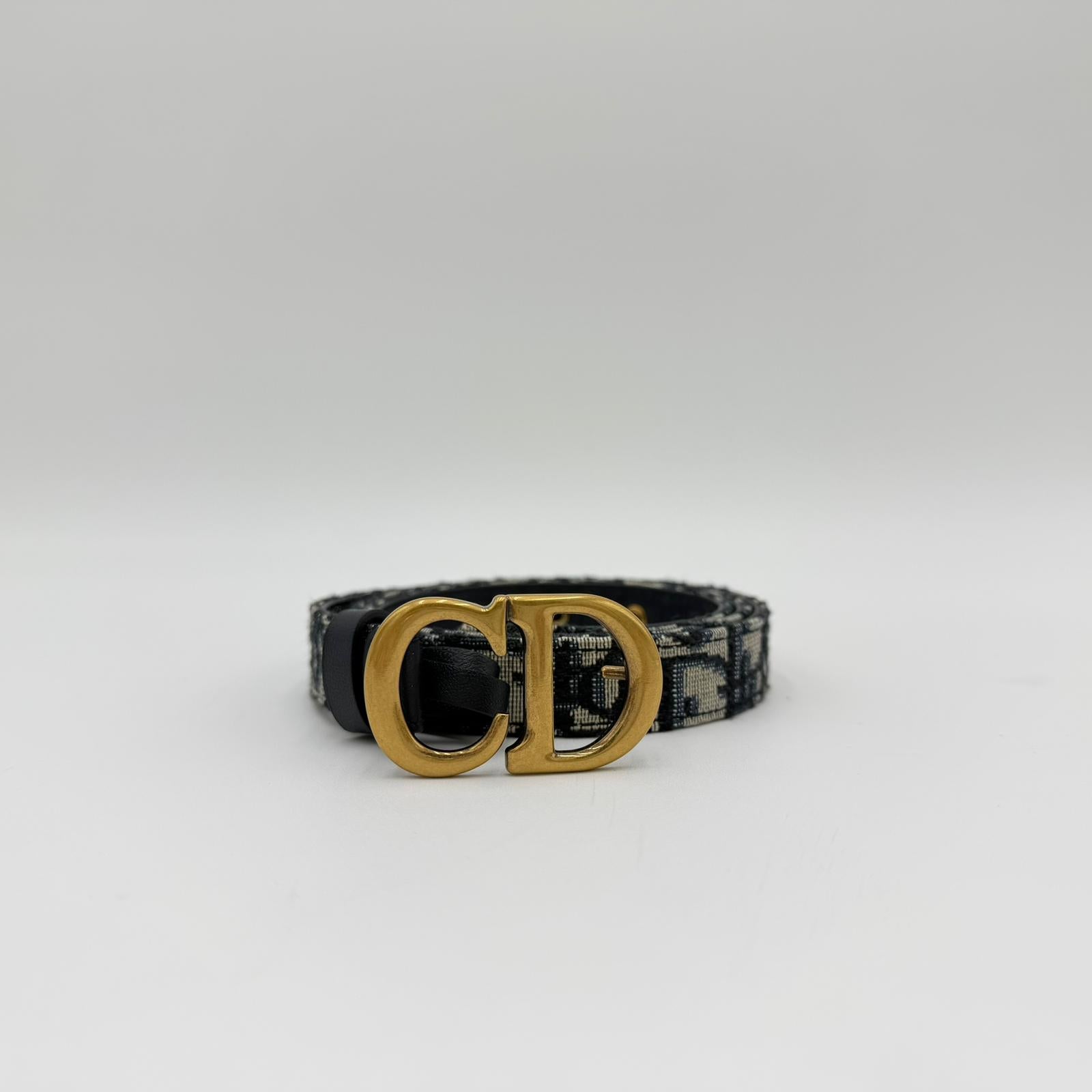 Dior Saddle Belt
