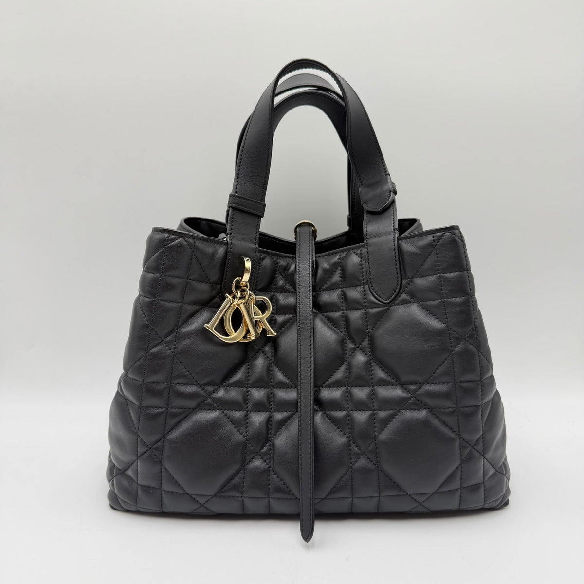 Dior Toujours Medium