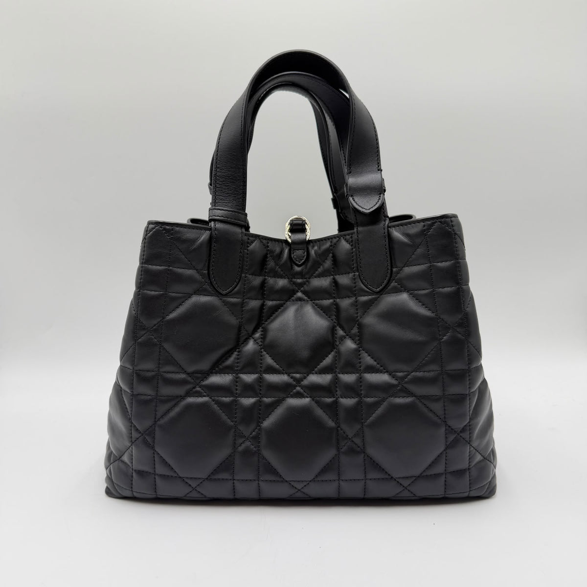 Dior Toujours Medium