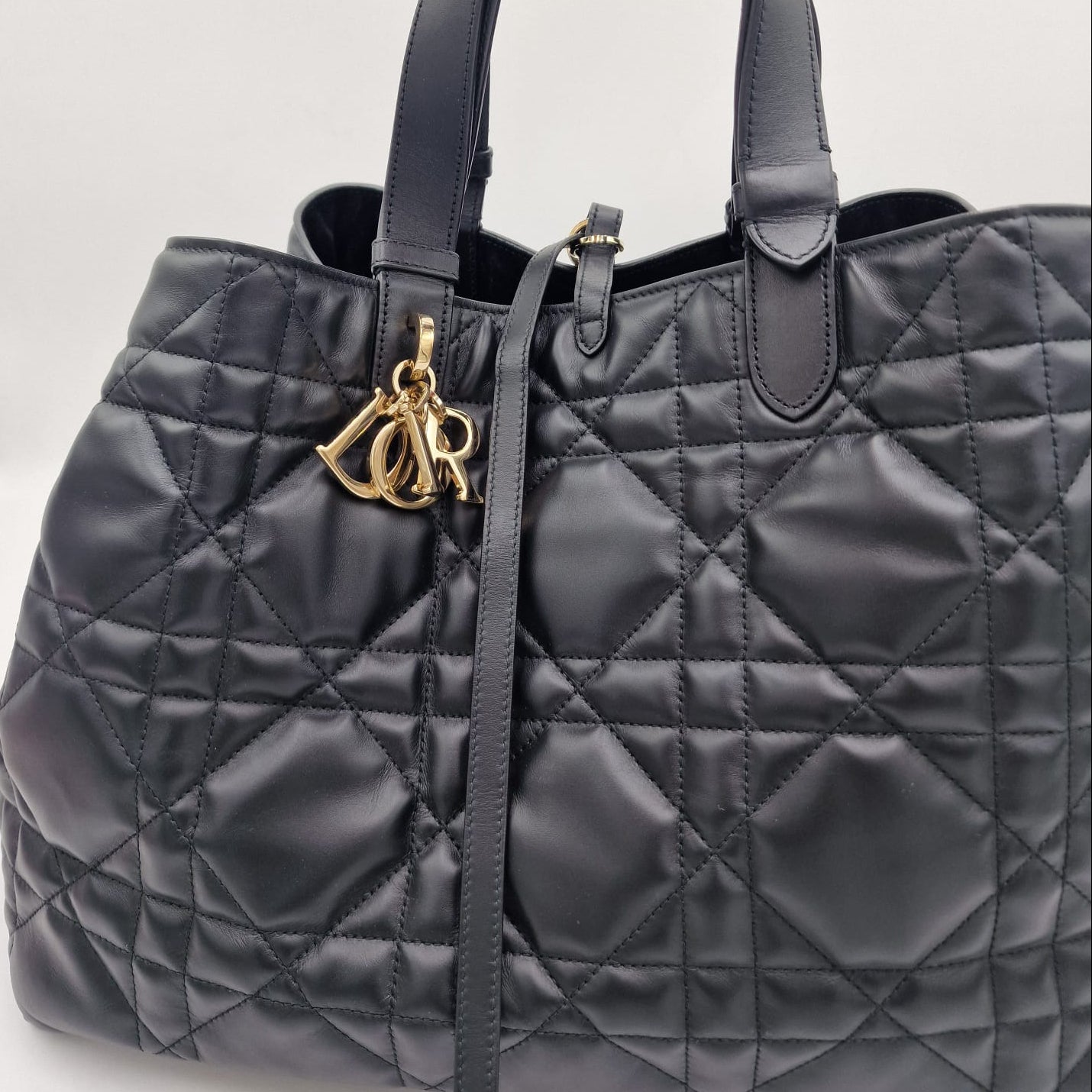 Dior Toujours Large Bag