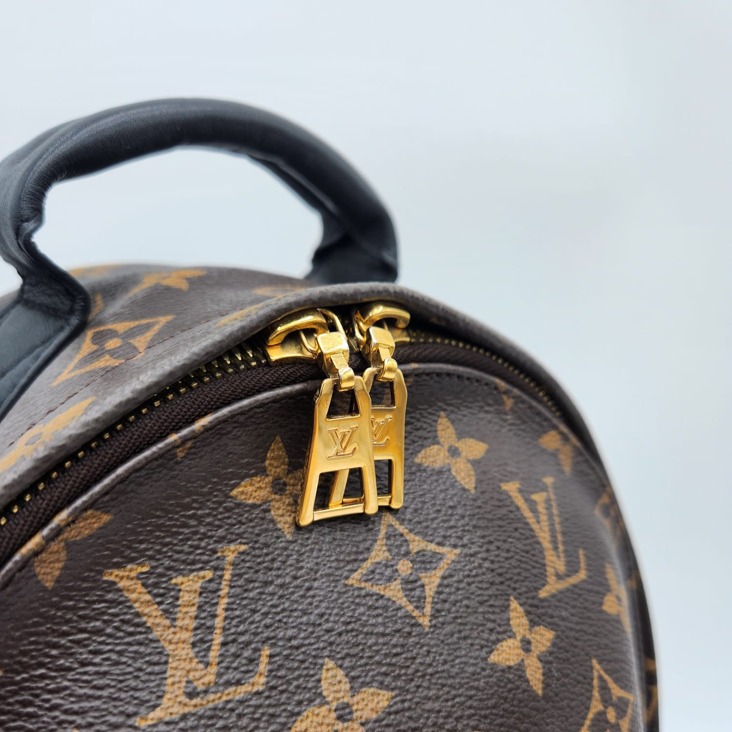 Louis Vuitton Palm Springs PM