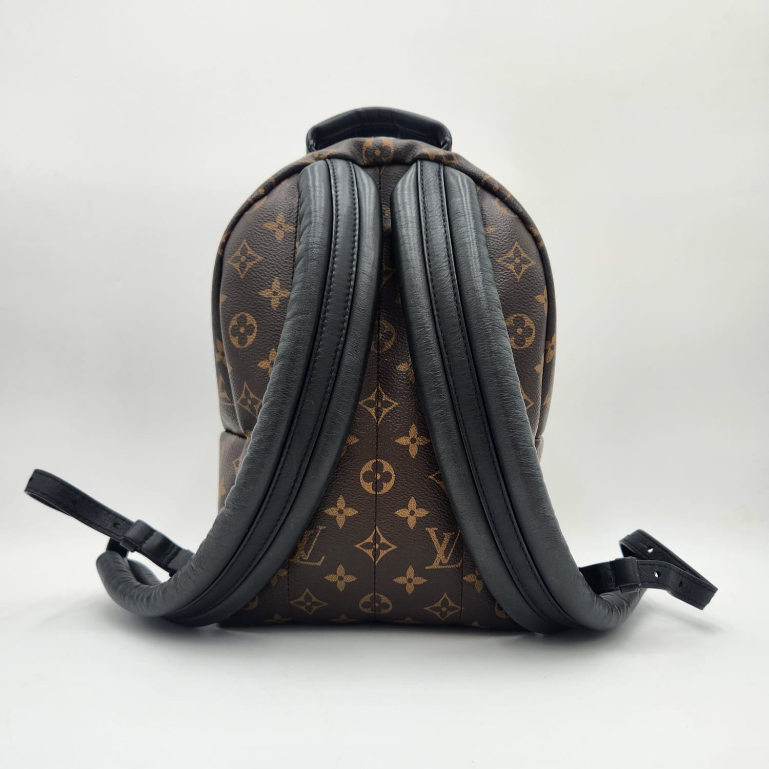 Louis Vuitton Palm Springs PM