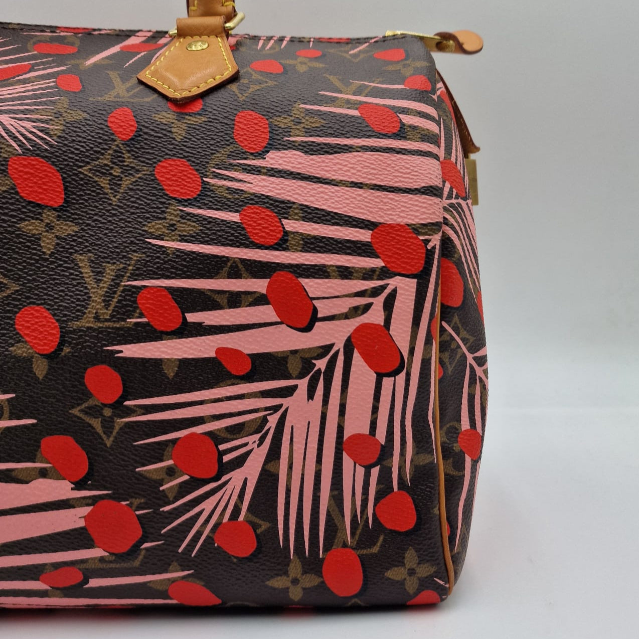 Louis Vuitton Speedy Jungle Special Edition