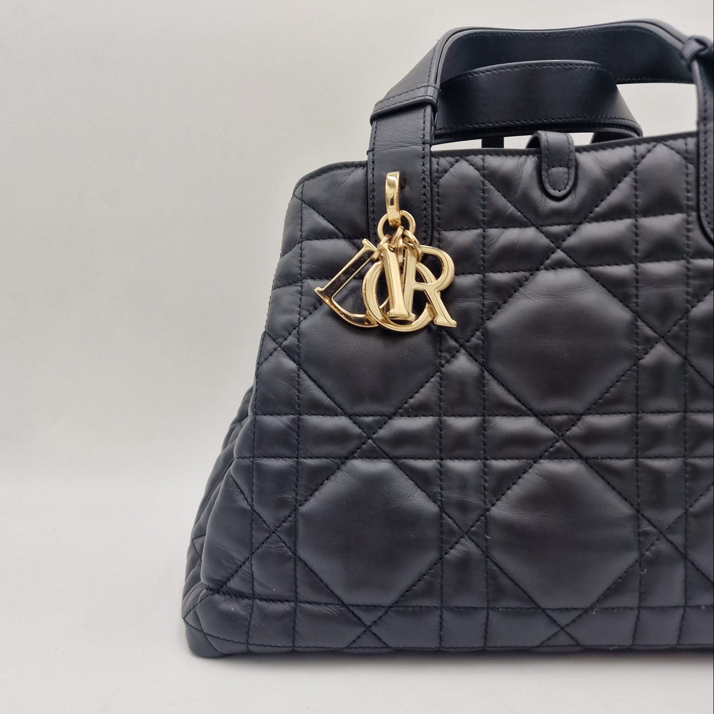 Dior Toujours Medium