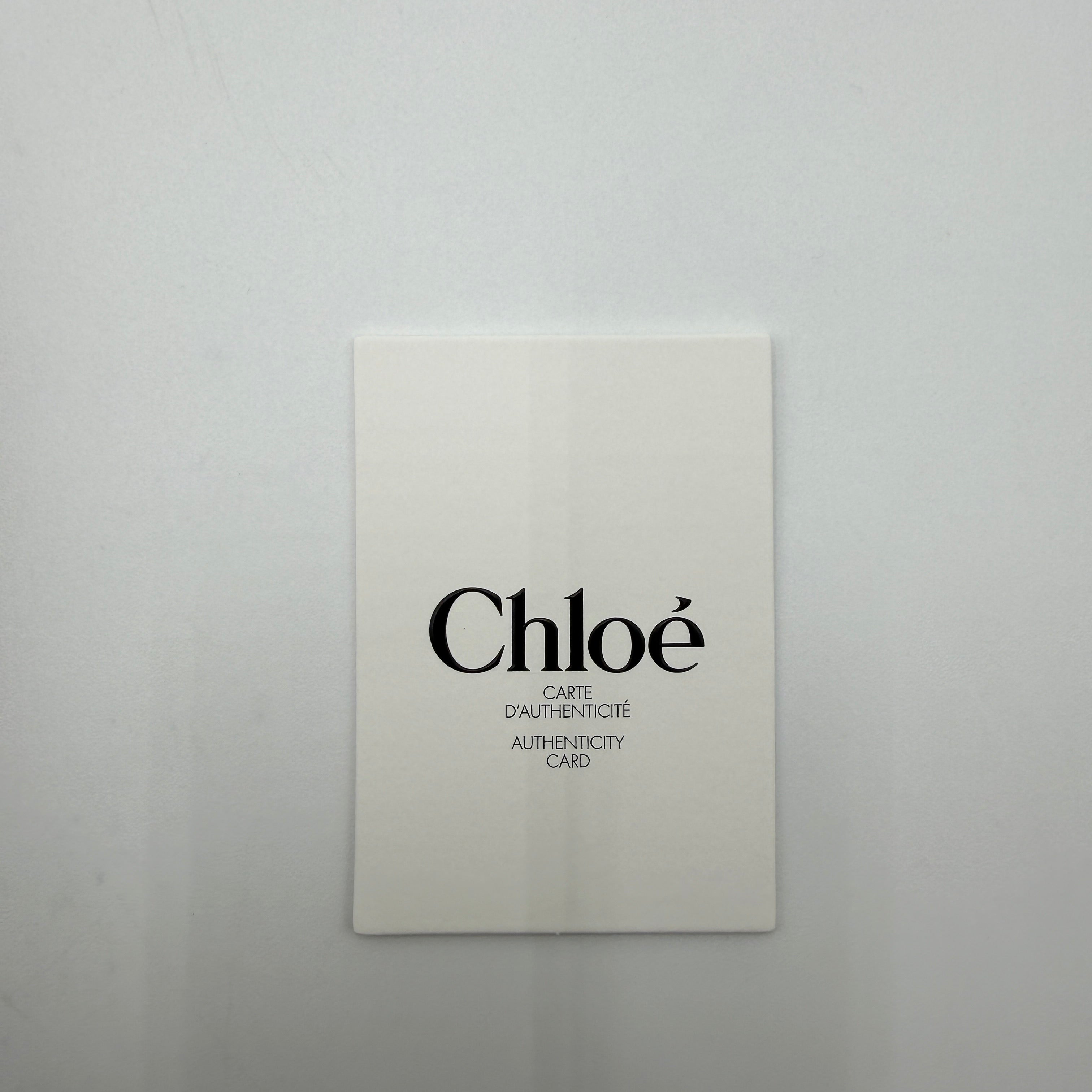 Chloé Small Bracelet Hobo