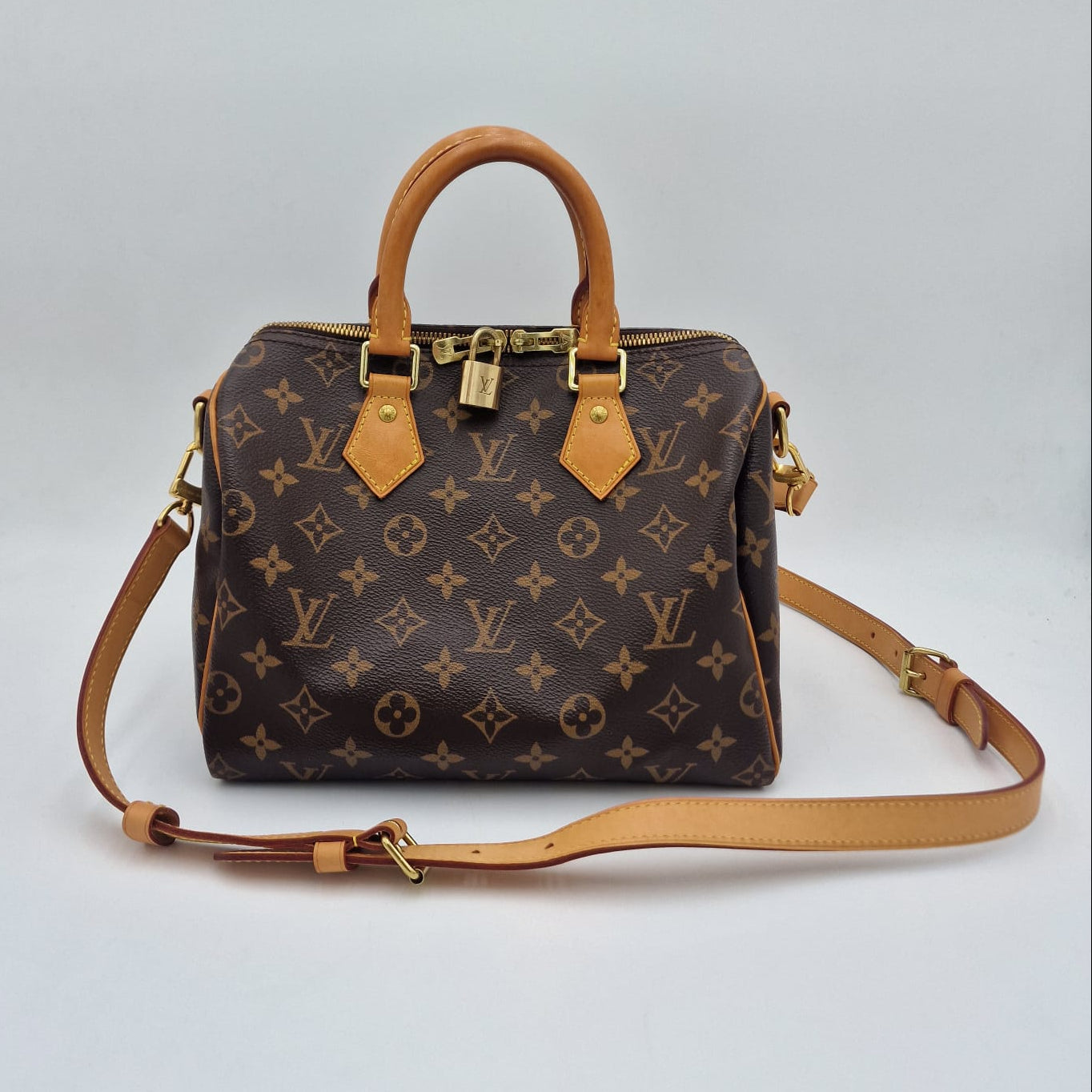 Louis Vuitton Speedy 25 Monogram