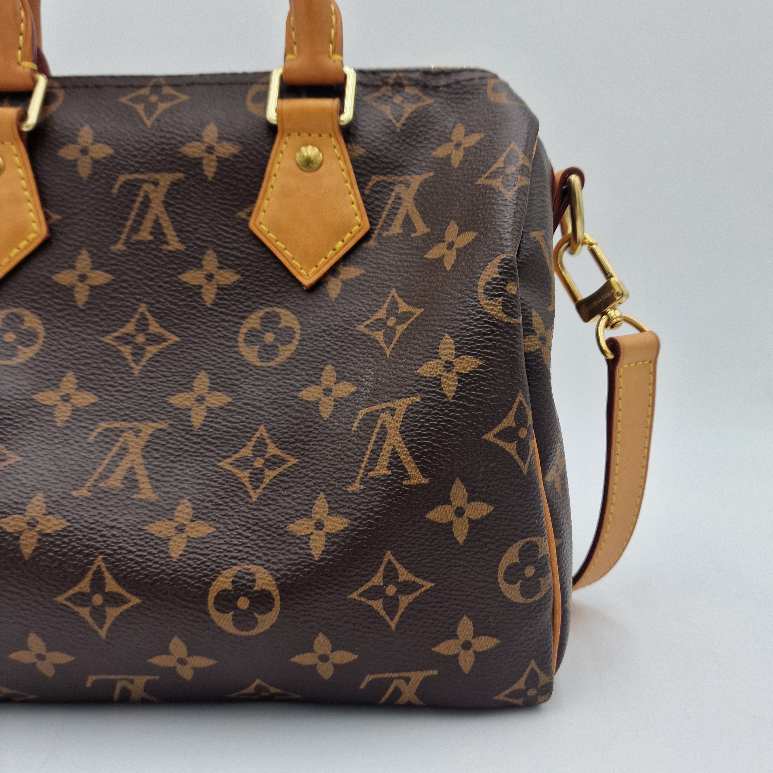 Louis Vuitton Speedy 25 Monogram