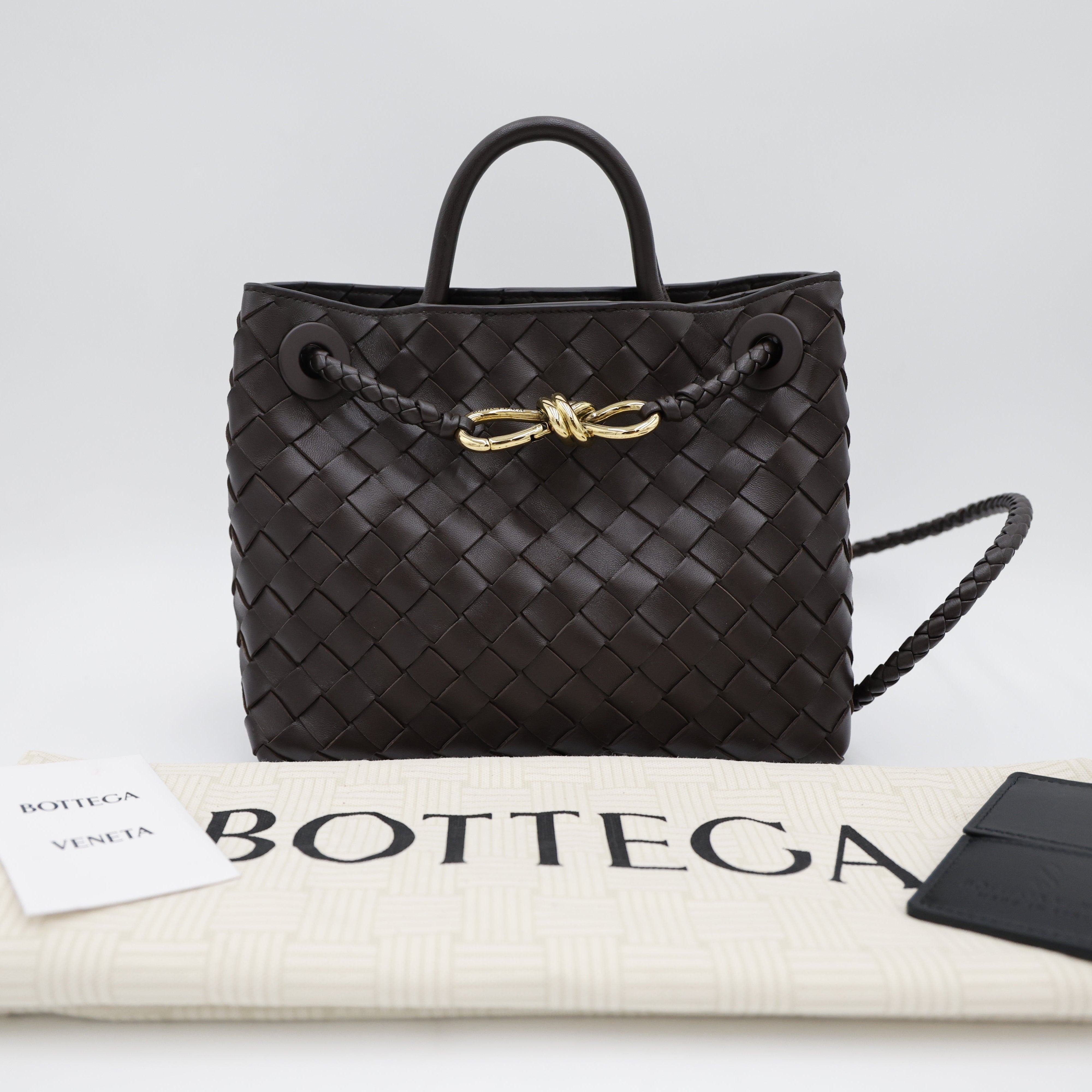 Bottega Veneta Andiamo Small