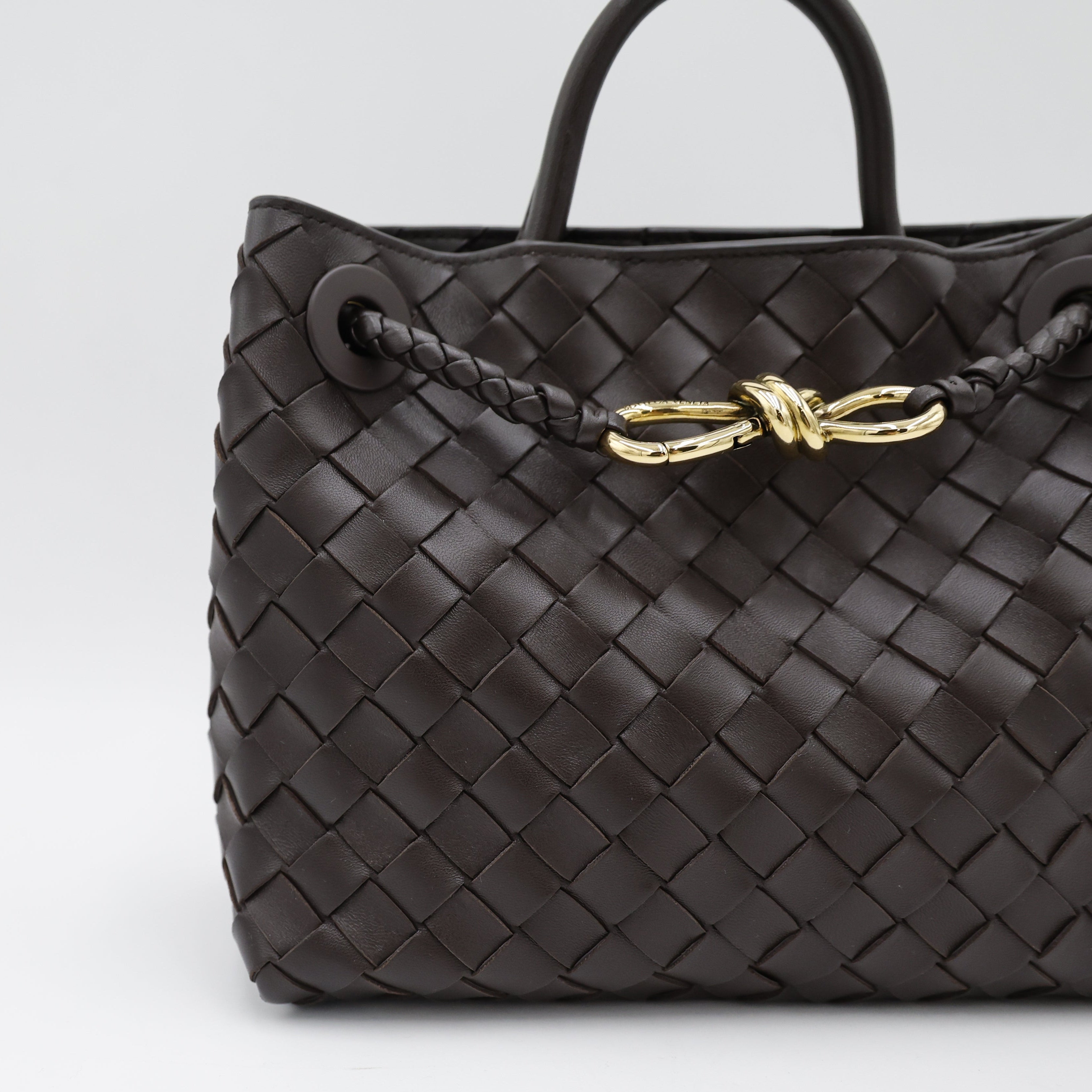 Bottega Veneta Andiamo Small