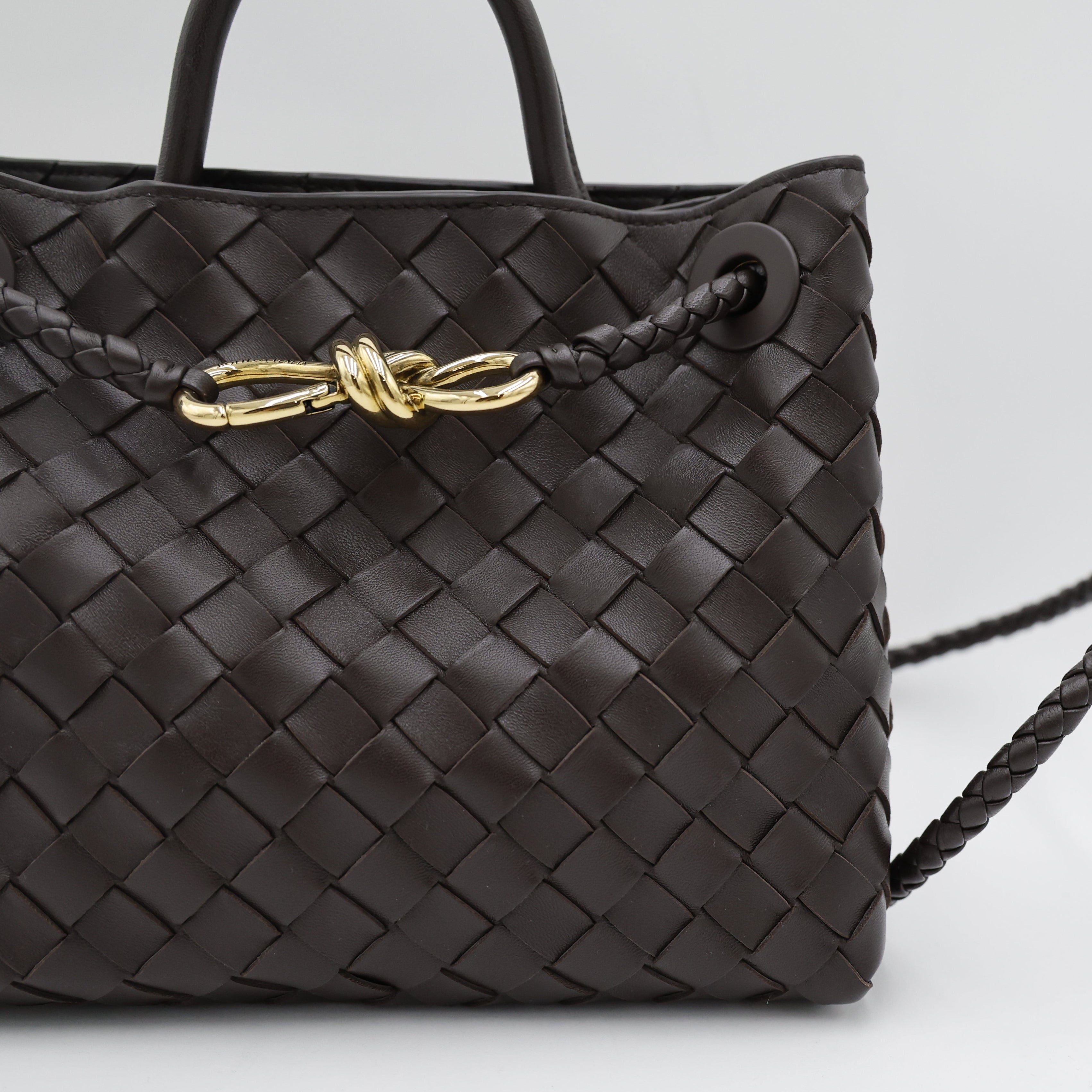 Bottega Veneta Andiamo Small