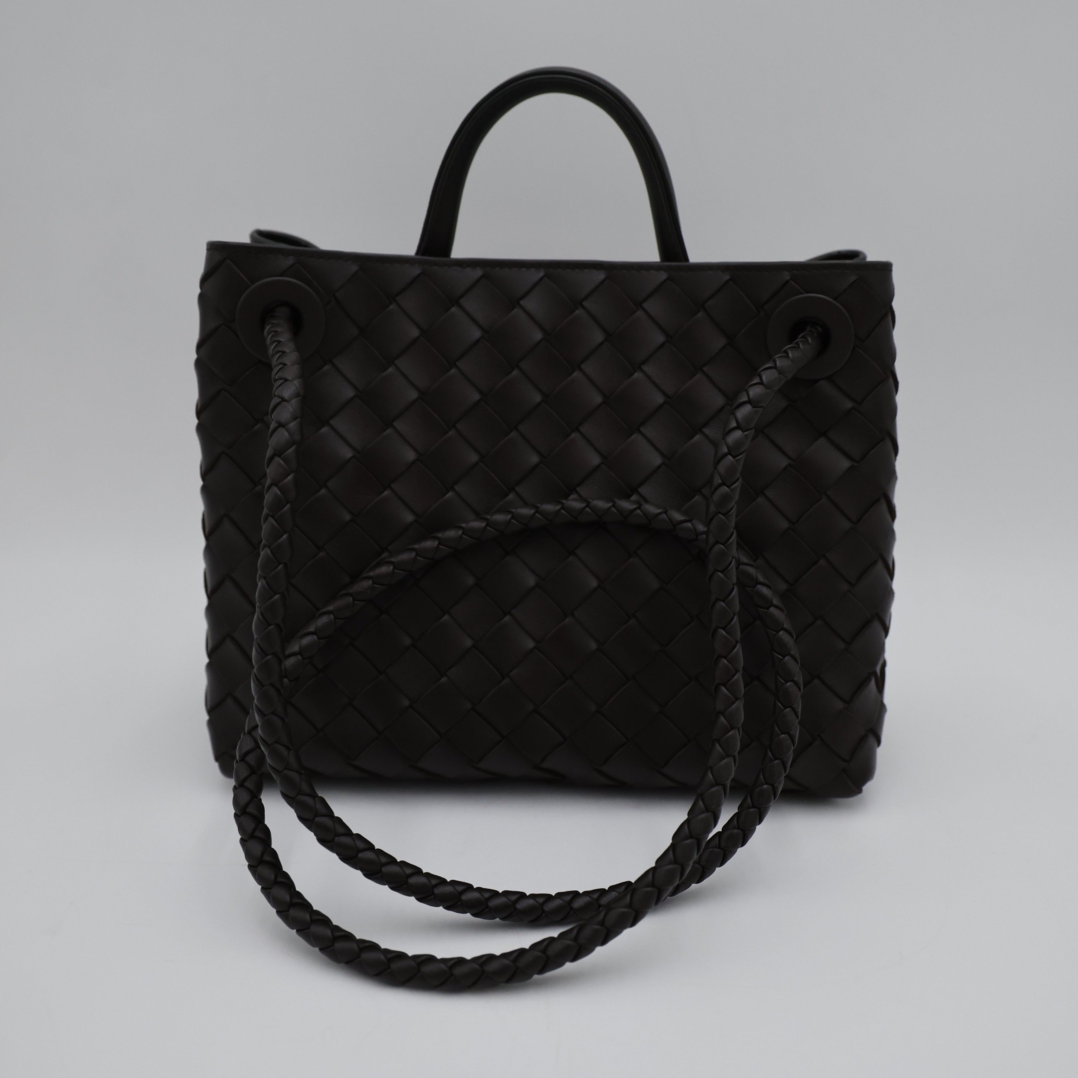 Bottega Veneta Andiamo Small