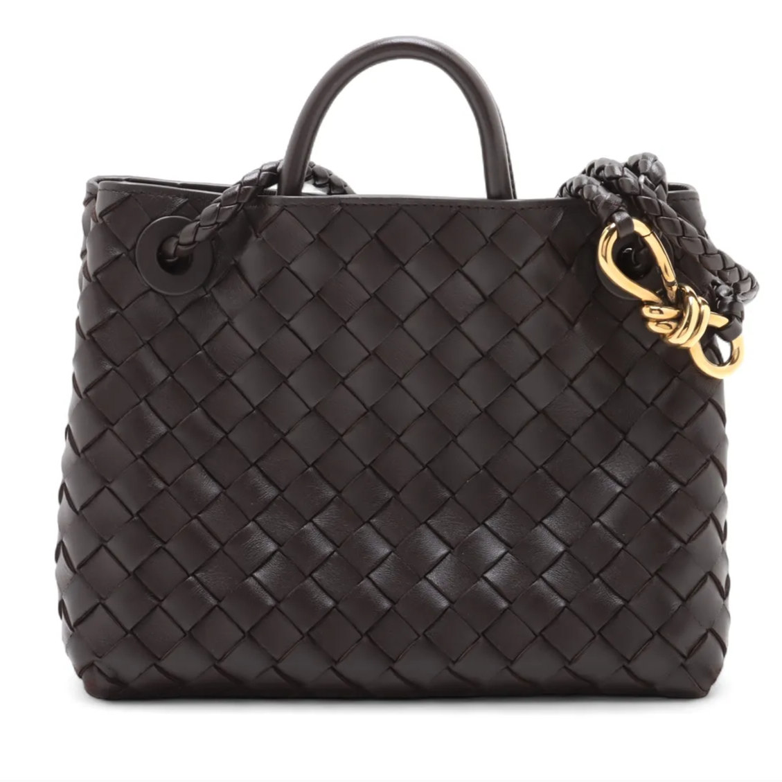 Bottega Veneta Andiamo Small