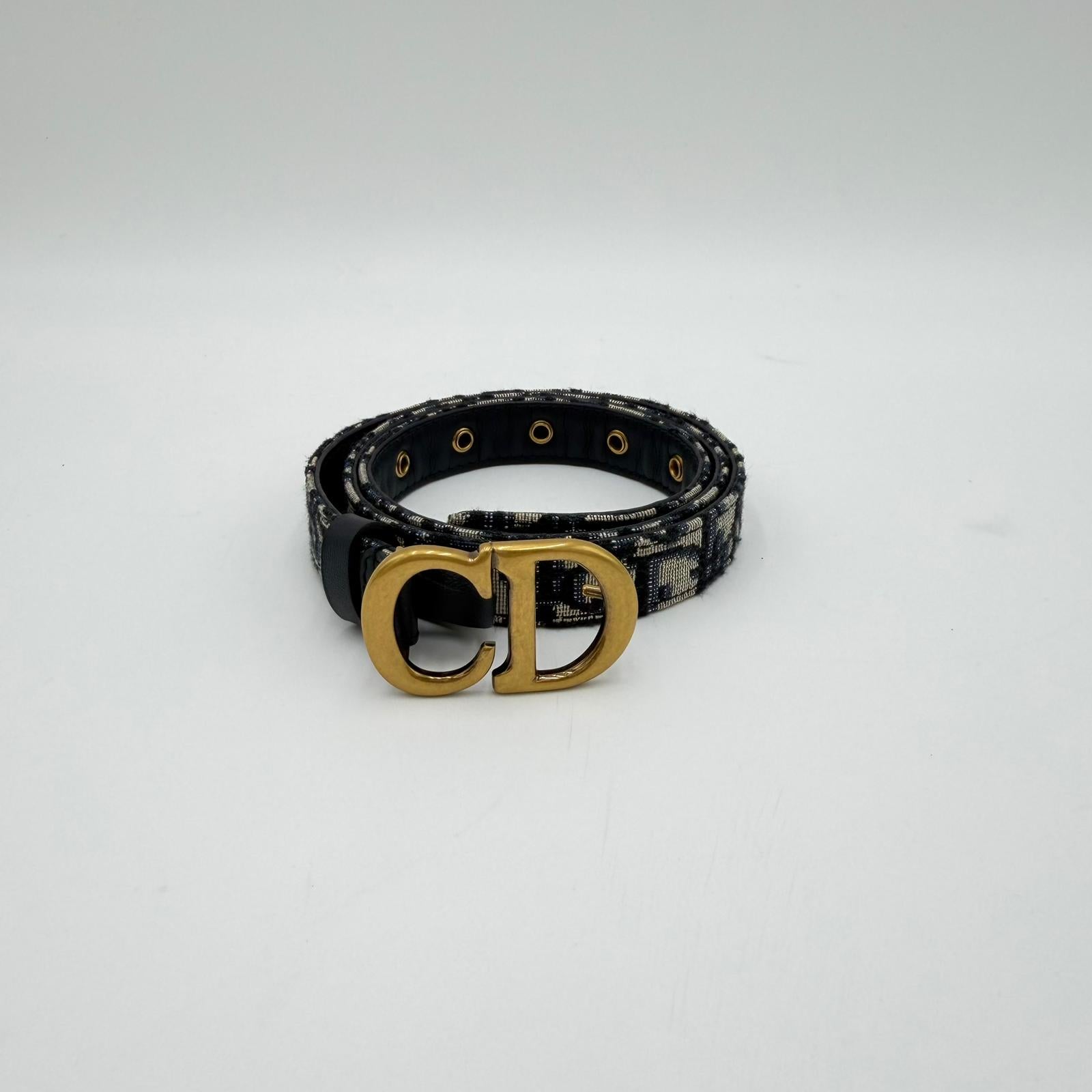 Dior Saddle Belt