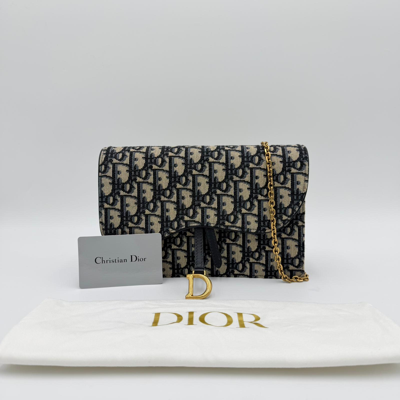 Dior Saddle Pouch