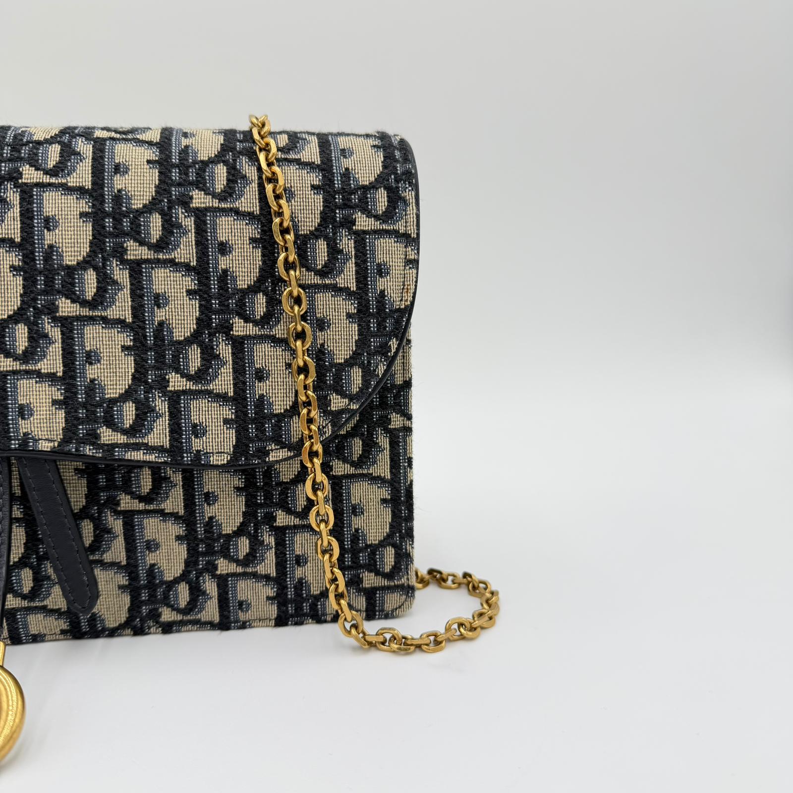 Dior Saddle Pouch