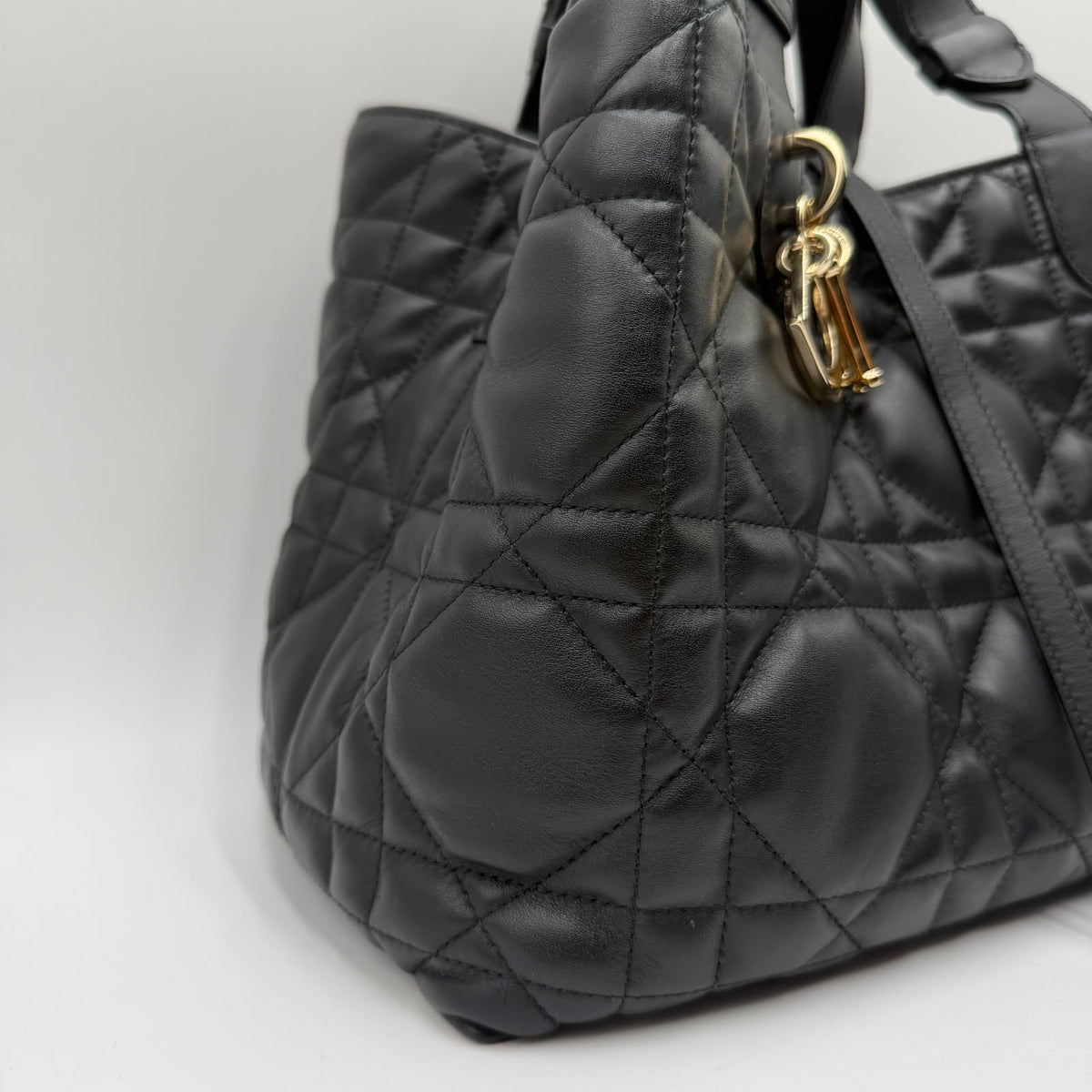 Dior Toujours Medium