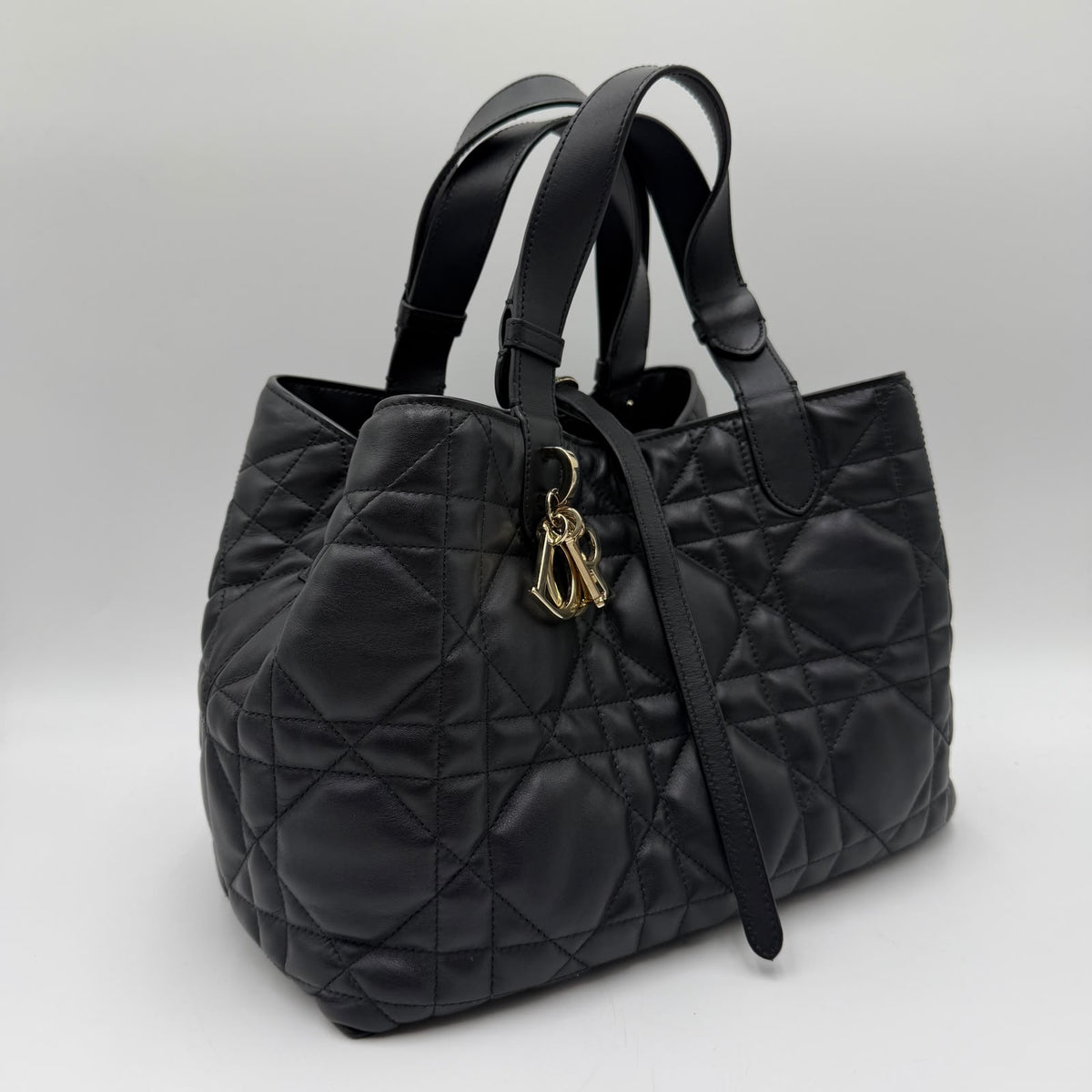 Dior Toujours Medium