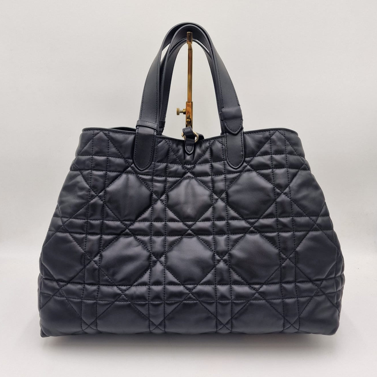 Dior Toujours Large Bag