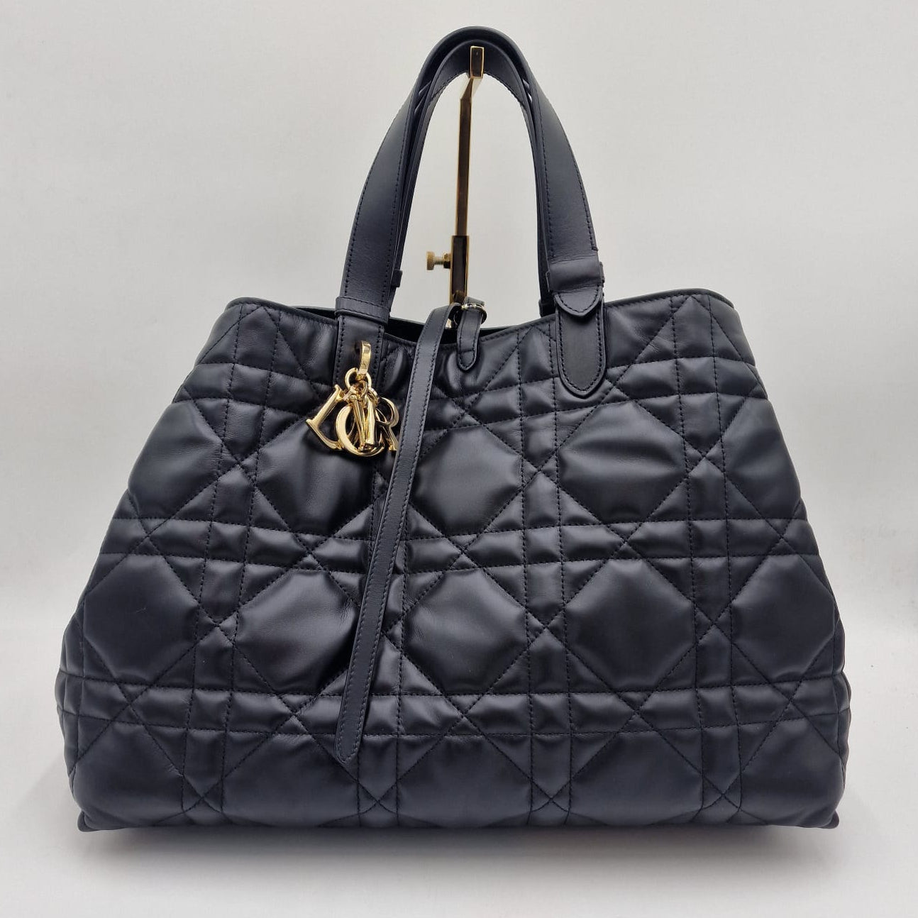 Dior Toujours Large Bag