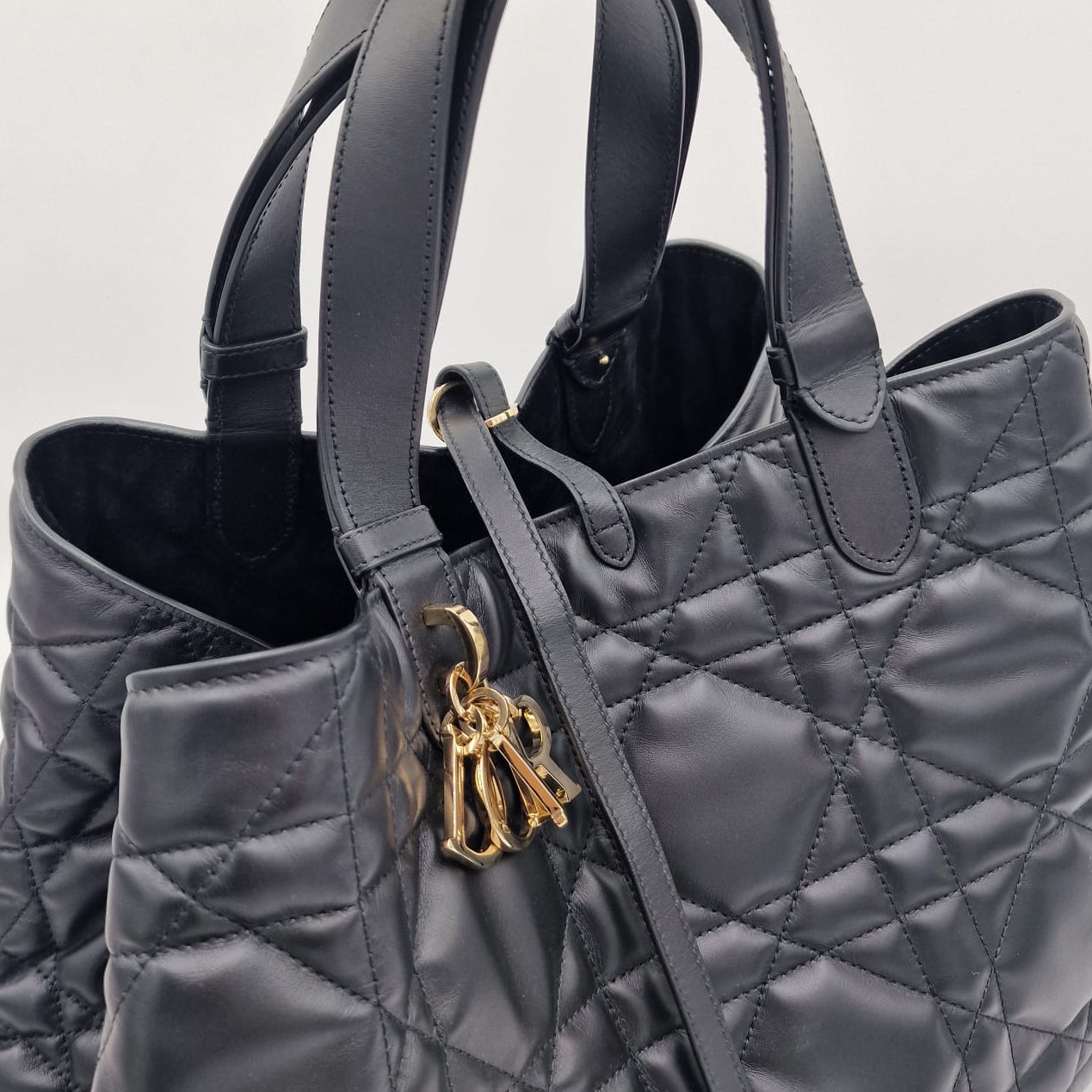 Dior Toujours Large Bag