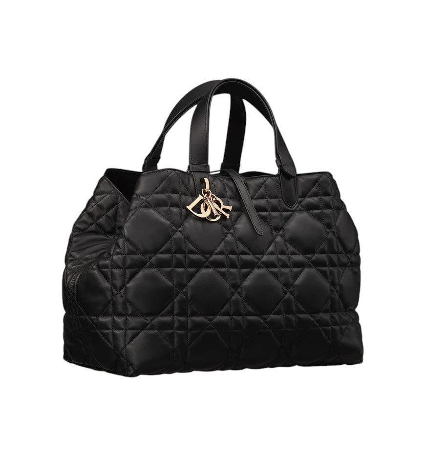 Dior Toujours Large Bag