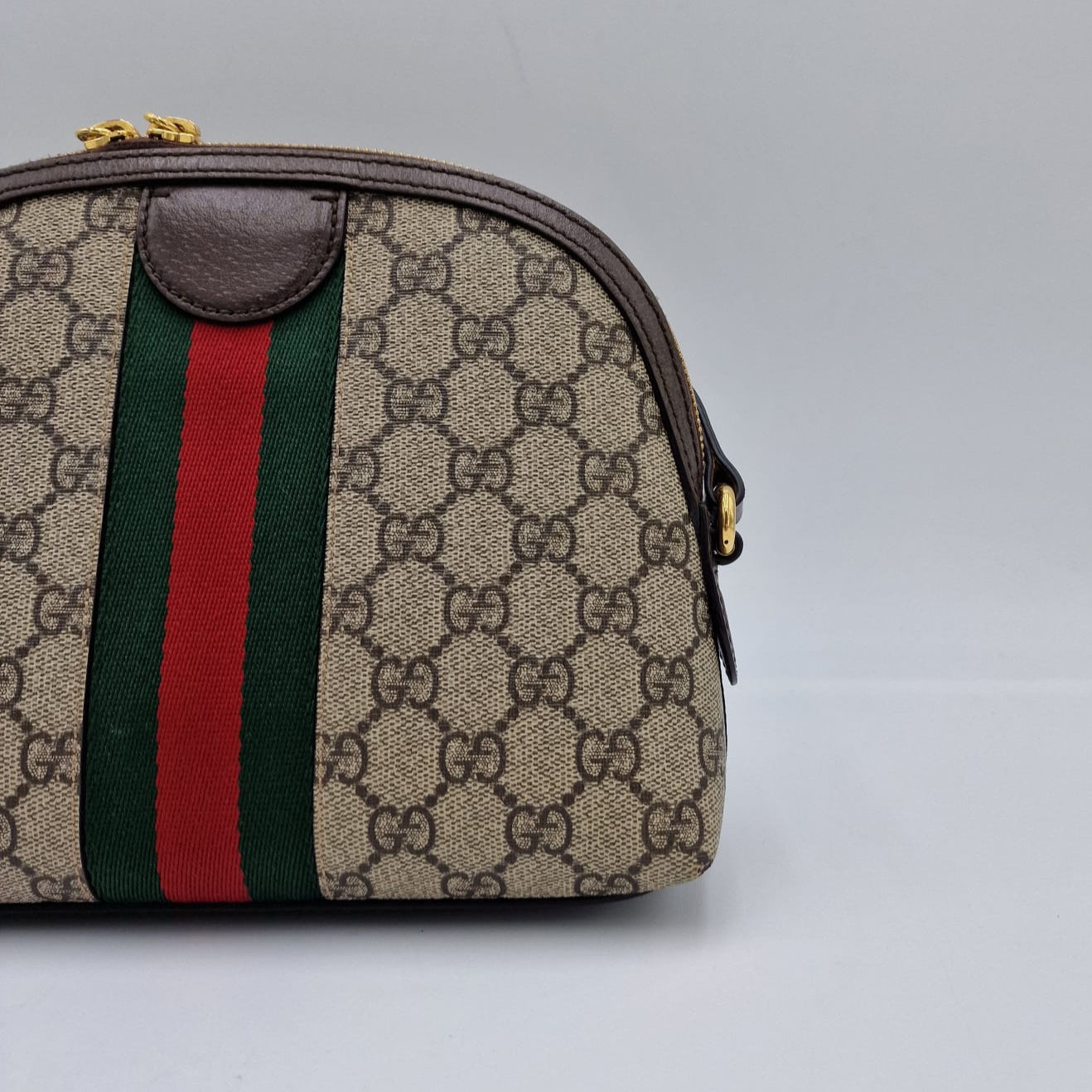 Gucci Ophidia