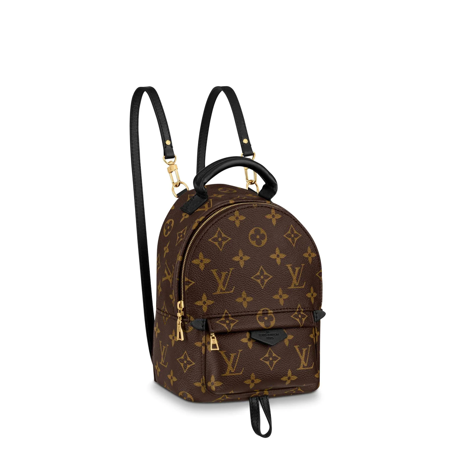 Louis Vuitton Mini Palm Springs
