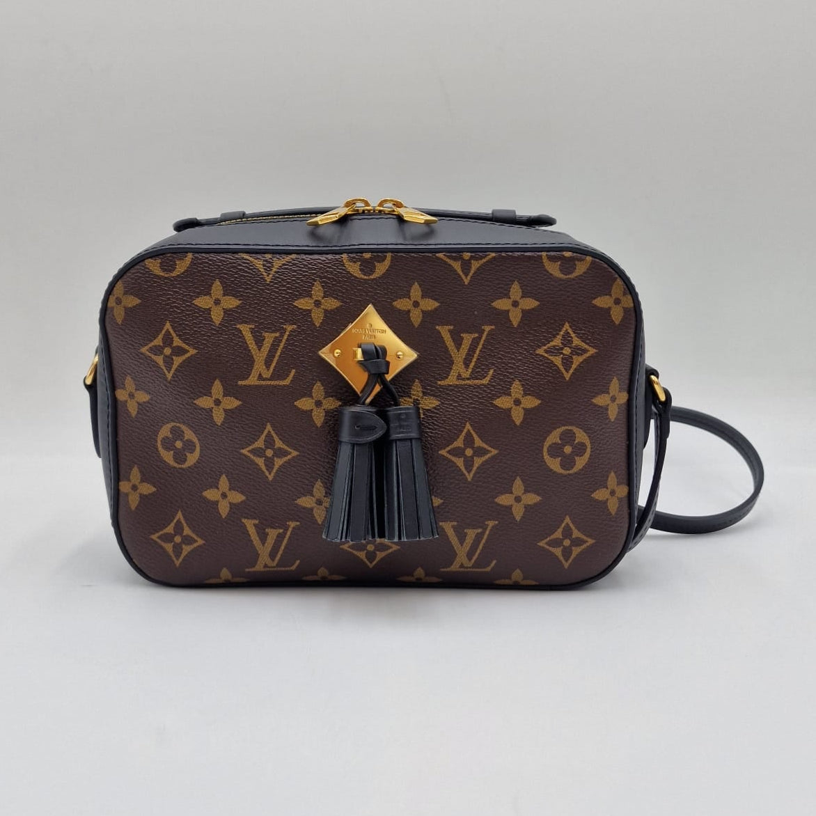 Louis Vuitton Saintoige