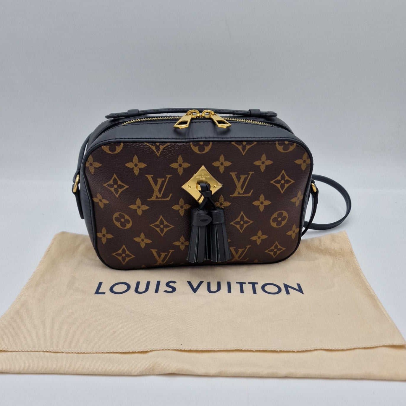 Louis Vuitton Saintoige