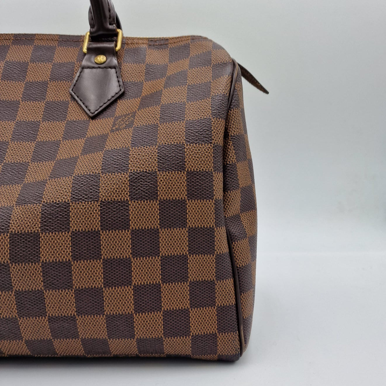 Louis Vuitton Speedy Damier Ebene