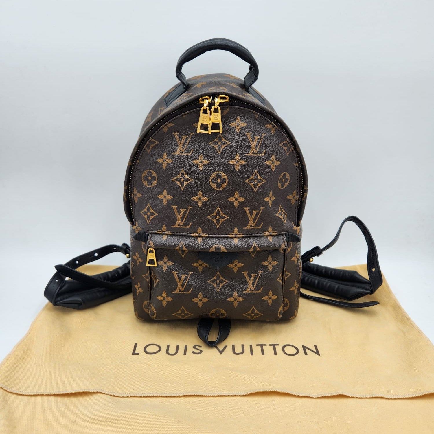 Louis Vuitton Palm Springs PM