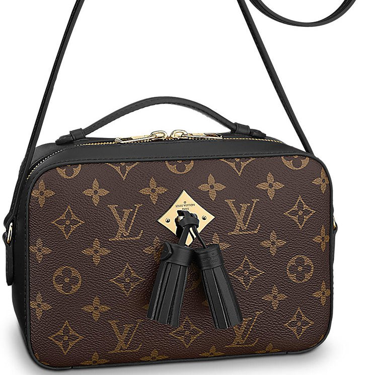 Louis Vuitton Saintoige