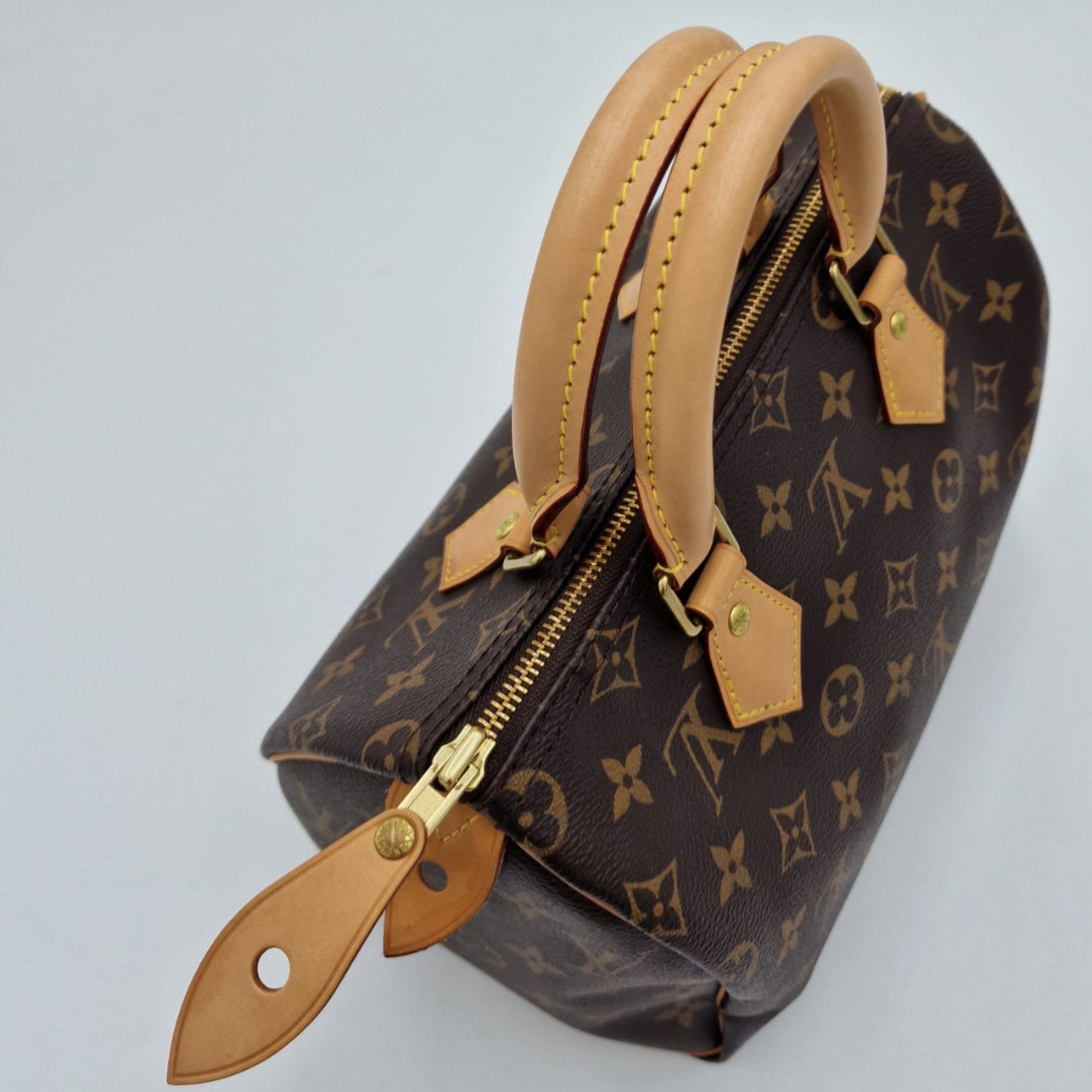 Louis Vuitton Speedy 25 Monogram