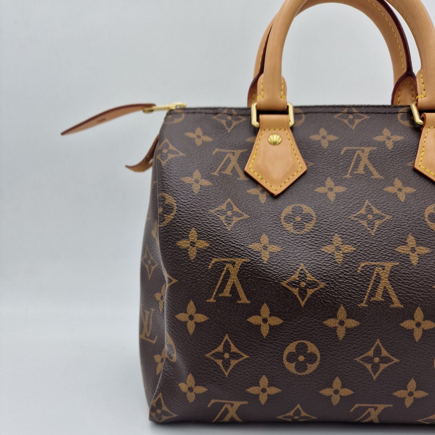 Louis Vuitton Speedy 25 Monogram