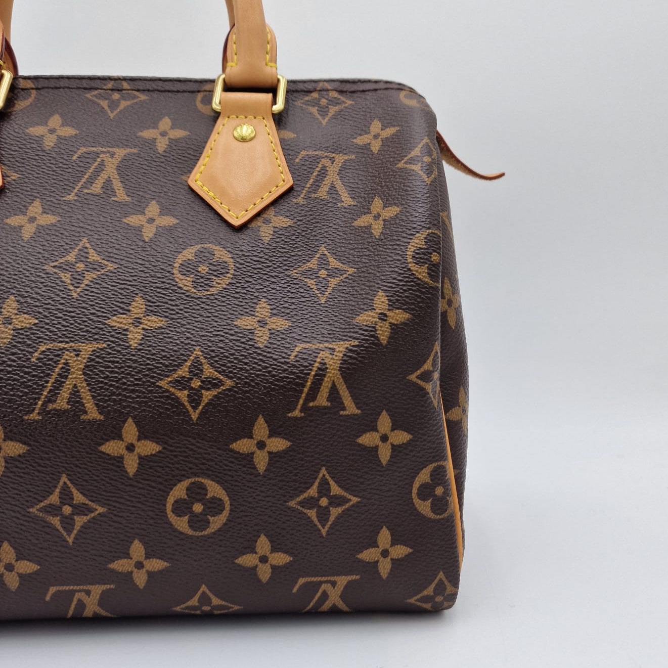 Louis Vuitton Speedy 25 Monogram