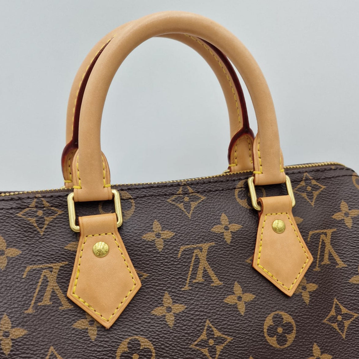 Louis Vuitton Speedy 25 Monogram