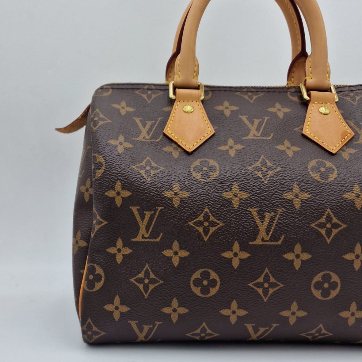Louis Vuitton Speedy 25 Monogram