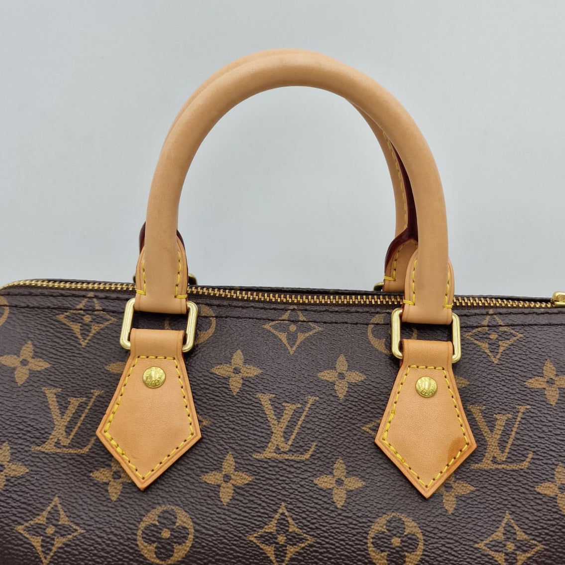 Louis Vuitton Speedy 25 Monogram