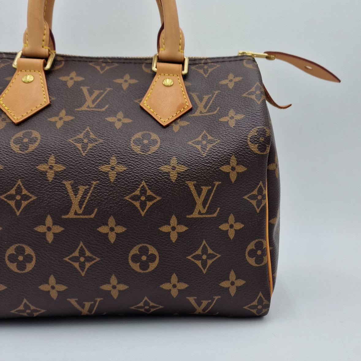 Louis Vuitton Speedy 25 Monogram
