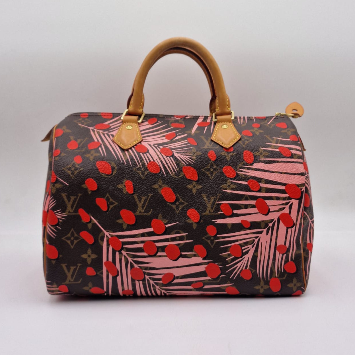 Louis Vuitton Speedy Jungle Special Edition