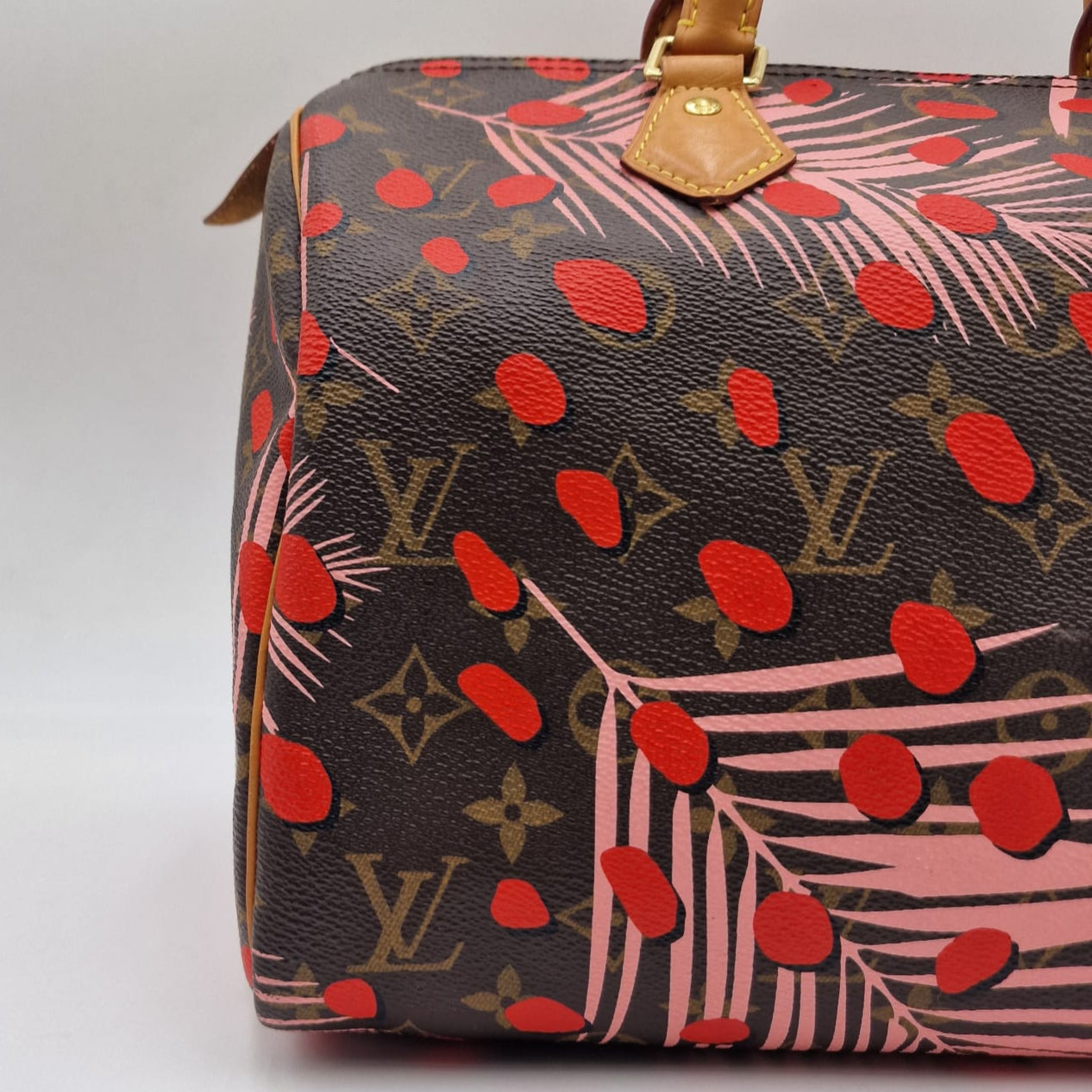 Louis Vuitton Speedy Jungle Special Edition