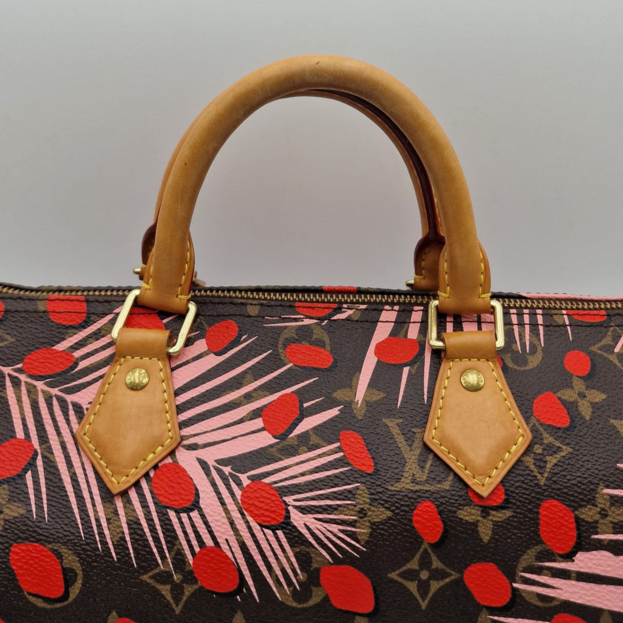 Louis Vuitton Speedy Jungle Special Edition