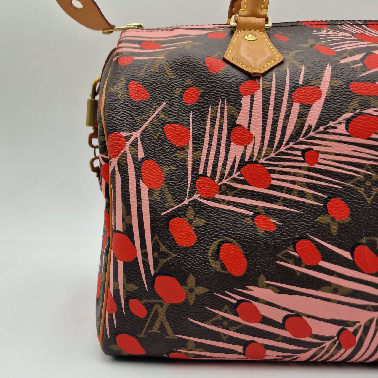 Louis Vuitton Speedy Jungle Special Edition