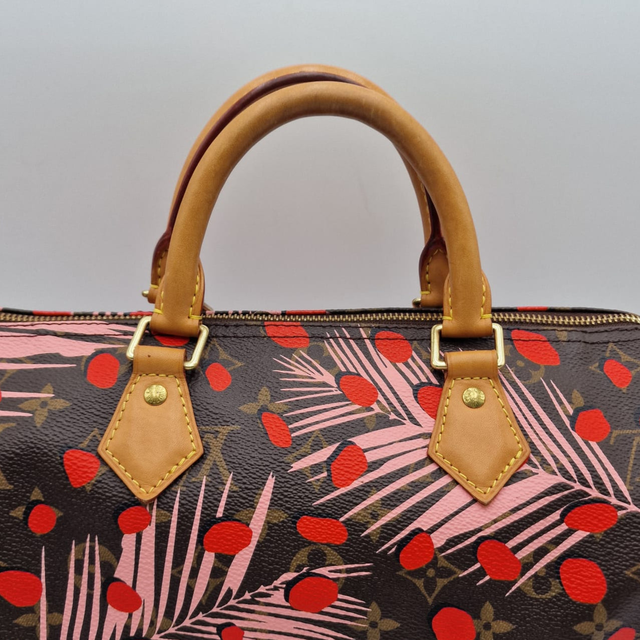 Louis Vuitton Speedy Jungle Special Edition