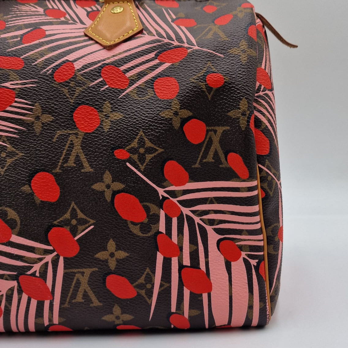 Louis Vuitton Speedy Jungle Special Edition