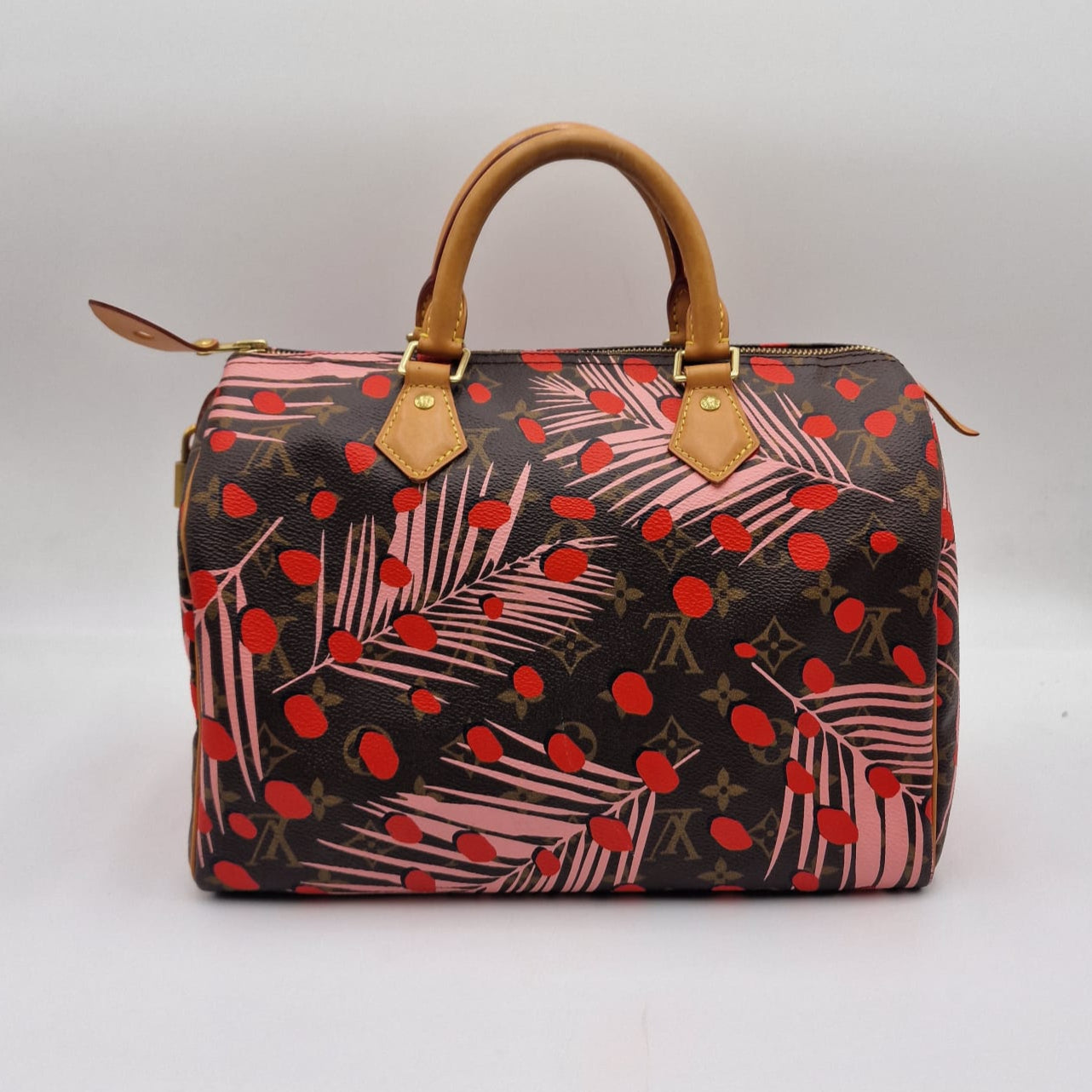 Louis Vuitton Speedy Jungle Special Edition