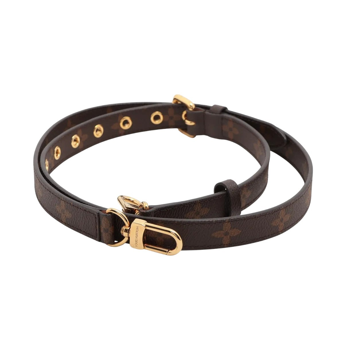 Louis Vuitton Monogram Strap