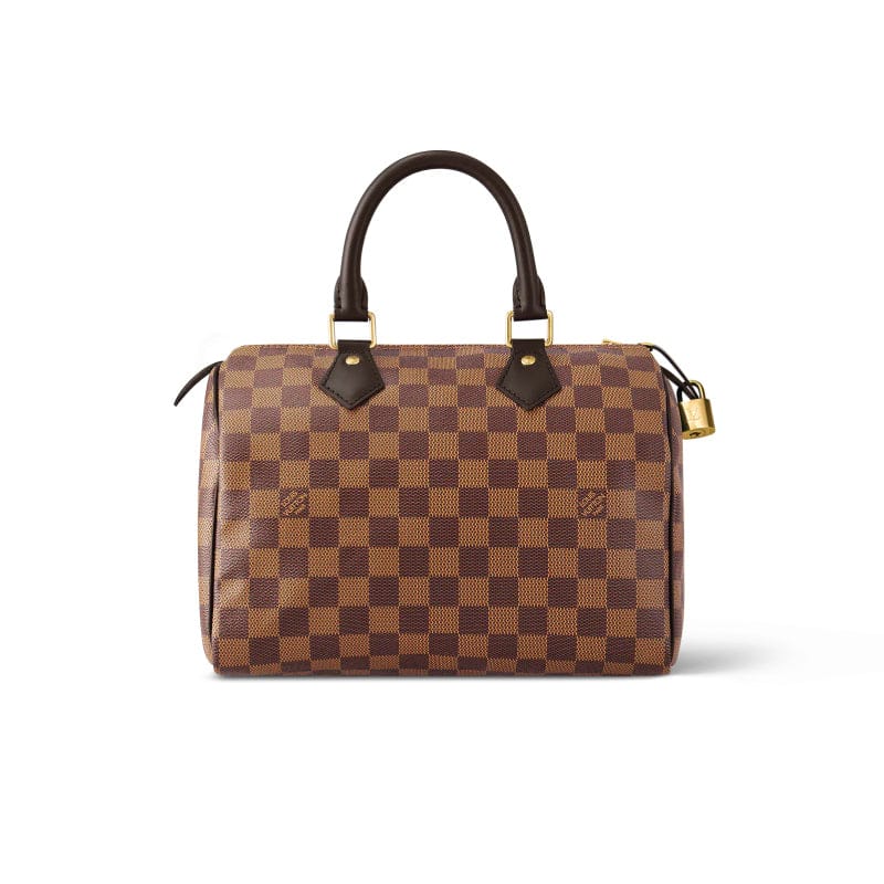 Louis Vuitton Speedy Damier Ebene 25