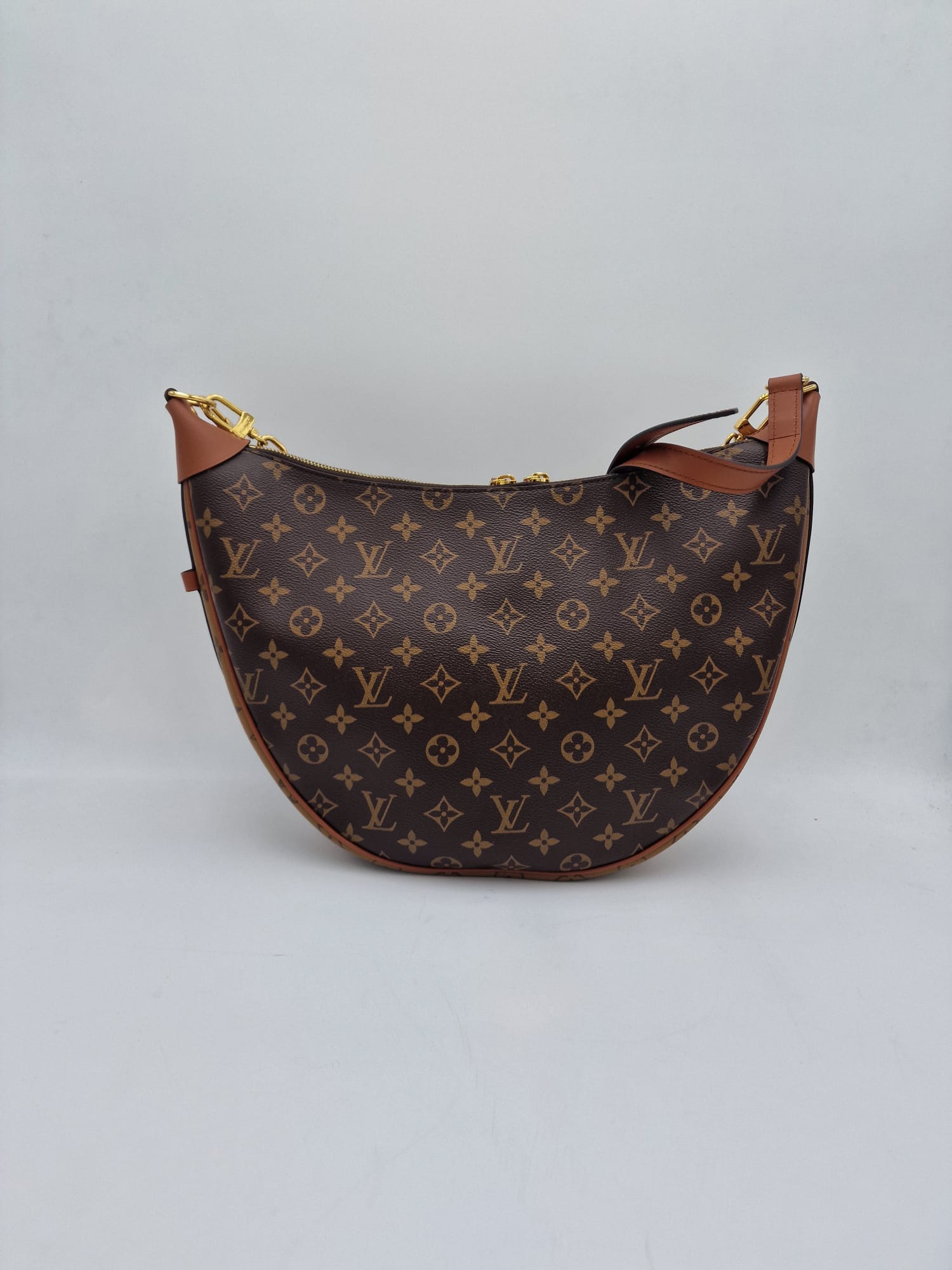 Louis Vuitton Loop Hobo