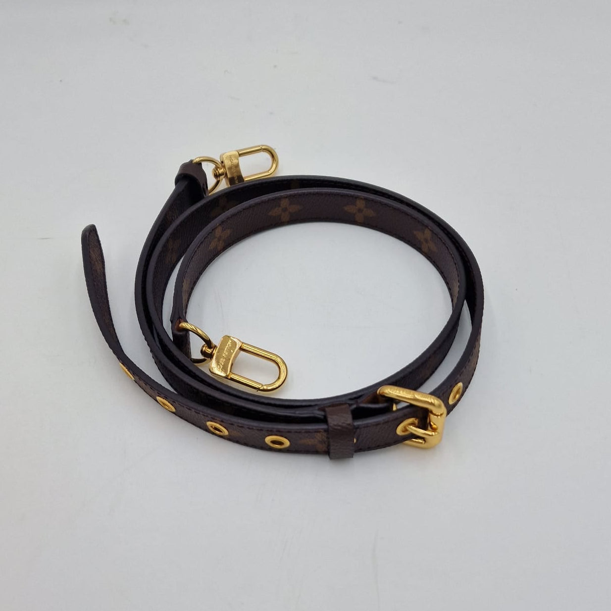 Louis Vuitton Monogram Strap